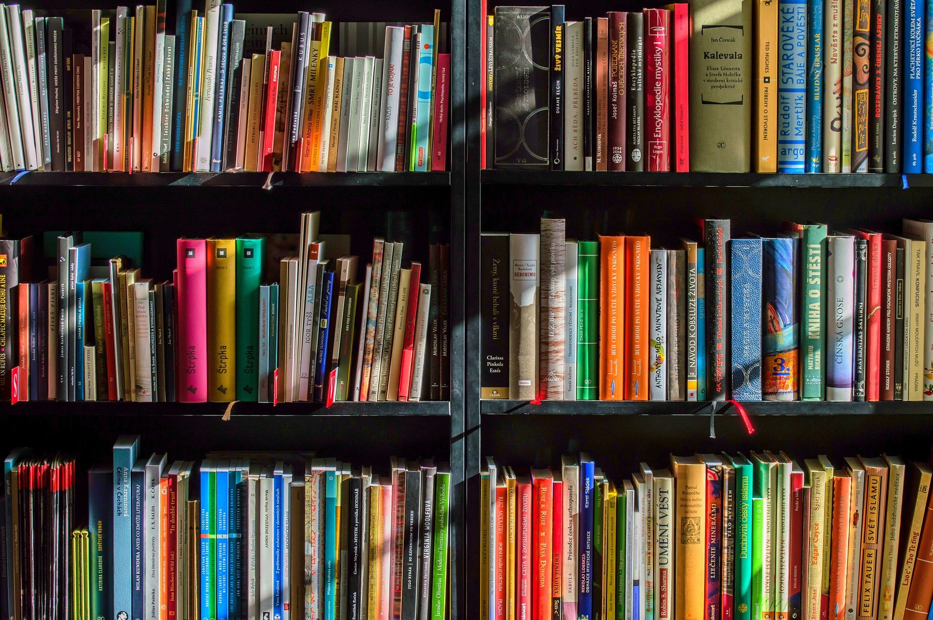 Sistema i10Bibliotecas do Sesc Ceará oferece acervo de bibliotecas para todos os públicos