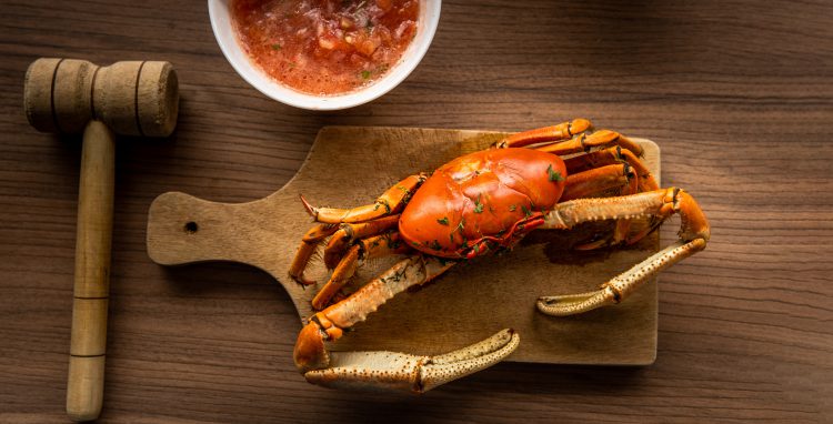 Cultura, turismo e gastronomia juntos: Aquiraz recebe 3ª edição de Festival do Caranguejo